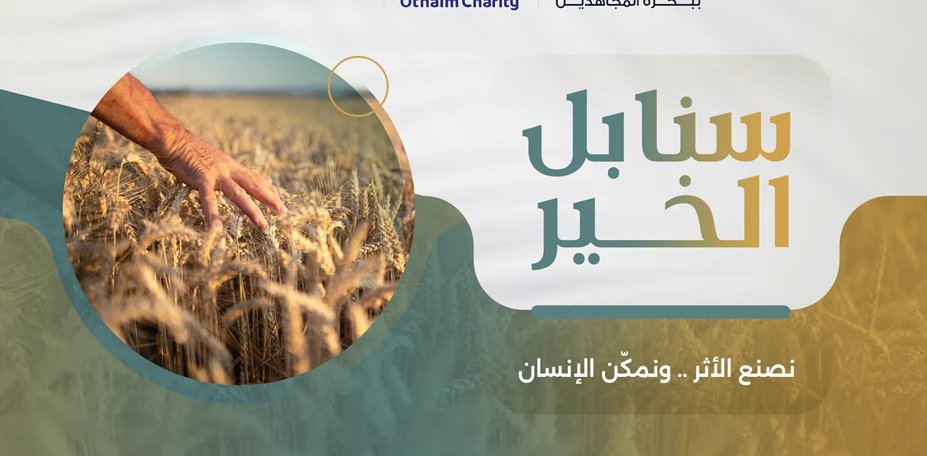 سنابل الخير